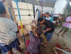 Paket daging kurban Idul Adha 1444 Hijriah Human Initiative
