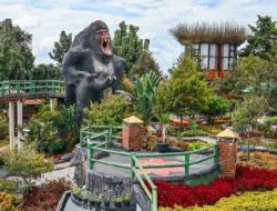 The Farm Pancawati Bogor, Destinasi Wisata Keluarga yang Menyenangkan
