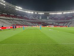 argentina jajal rumput argentina jajal rumput