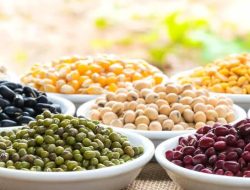 Kacang-kacangan.(istimewa/indonesiadaily.net)