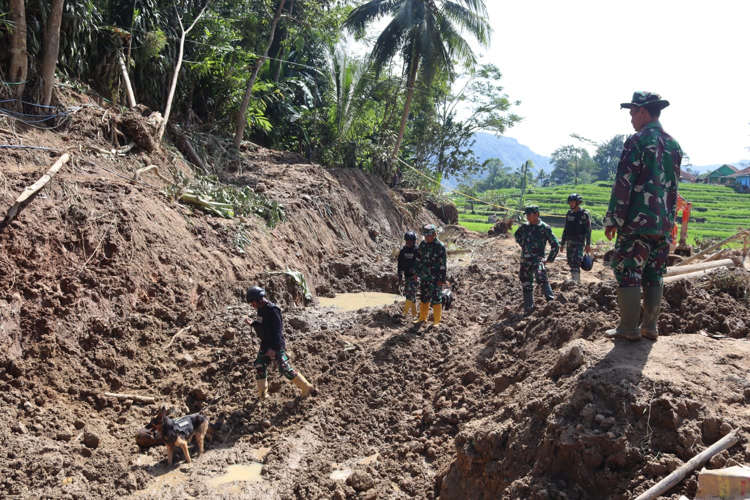 longsor kabupaten garut 1