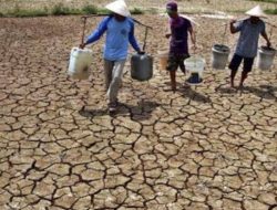 El Nino diprediksi mencapai puncaknya bulan Agustus.(istimewa/indonesiadaily.net)