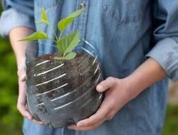Reuse salah satu cara singkirkan sampah tanpa harus dibakar.(istimewa/indonesiadaily.net)