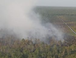 kebakaran hutan gambut