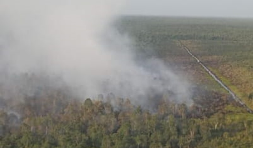 kebakaran hutan gambut
