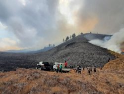 Kebakaran di gunung bromo Kebakaran di gunung bromo