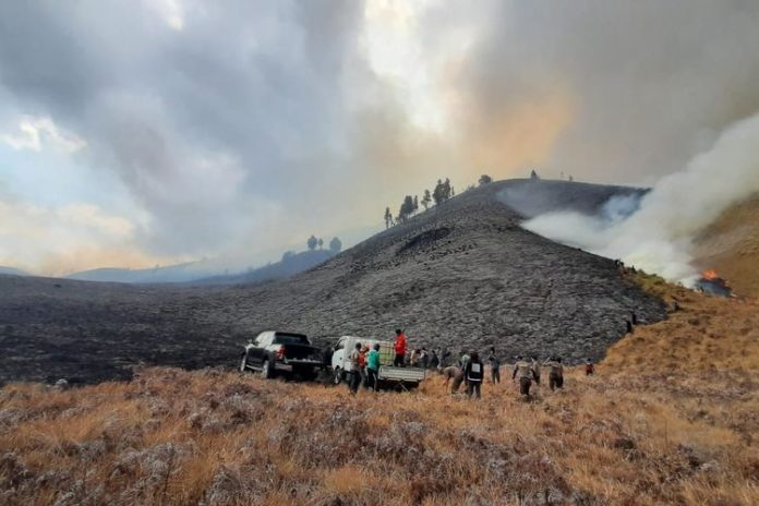 Kebakaran di gunung bromo