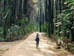 Taman wisata Gunung Pancar.(istimewa/indonesiadaily.net)