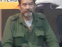penulis rempang penulis rempang