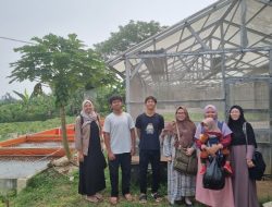 teknologi hidroponik yang baru 2