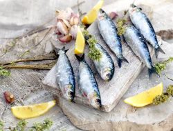 Ikan berlemak seperti sarden baik untuk nutrisi otak.(istimewa/indonesiadaily.net)