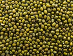 Kacang hijau (freepik)