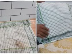 lap dapur dibersihkan lap dapur dibersihkan