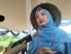 Calon Anggota Legislatif (Caleg) Daerah Pemilihan (Dapil) Jawa Barat VI (Kota Depok-Kota Bekasi) Ingrid Kansil saat mengunjungi Depok.(istimewa/indonesiadaily.net)