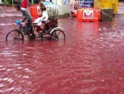 Hujan darah di India.(istimewa/indonesiadaily.net)