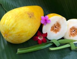 Manfaat timun suri bagi kesehatan.(istimewa/indonesiadaily.net)