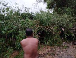 Barongan Bambu Magetan Ambruk Satu Tewas