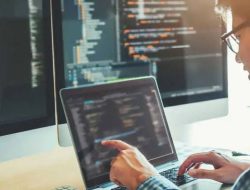 Pekerjaan software engineer salah satu jenis pekerjaan WFH yang tawarkan gaji fantastis.(istimewa/indonesiadaily.net)