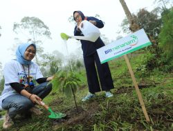Program penghijauan BRI Menanam & BRI Menanam Grow & Green.(istimewa/indonesiadaily.net)
