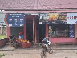 IMG-20241127-WA0005