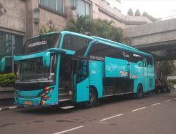 Armada piknik Bus. (Istimewa)