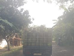 IMG-20250101-WA0057
