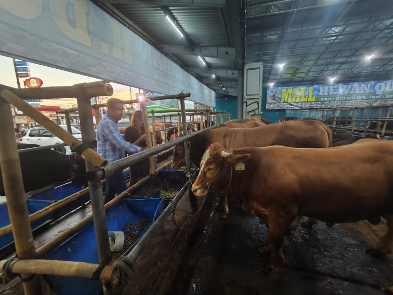Inilah kondisi Mall hewan qurban di kawasan Kelapa Dua, Cimanggis, Kota Depok. (Istimewa)