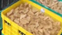 Tahu Berformalin di Desa Cibeuteng Ciseeng Jadi Sorotan Pakar Hukum Pidana dan Panpel Kompolnas