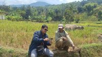 IMG-20260924-WA0007